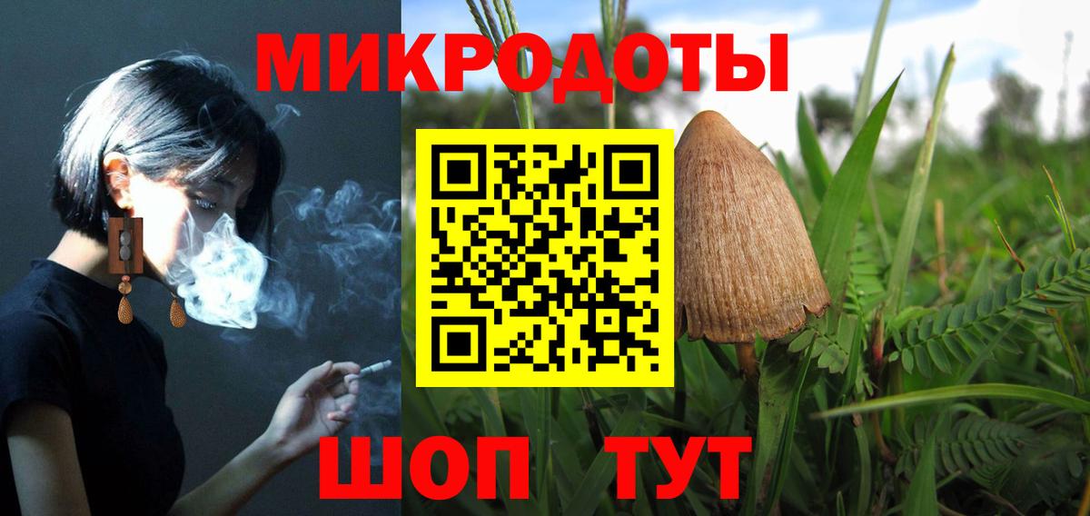 Псилоцибиновые грибы мицелий  Вход с VPN  Гусев 